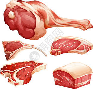 切羊肉牛肉酱香肠食物火腿产品绘画热狗肋骨牛扒卡通片红肉插画