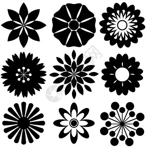 黑色花卉模板花粉美化仪式花瓣植物食物风格环境白色植物学背景图片