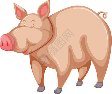 仔猪粉猪偶数白色农场猪蹄粉色生计脚趾鼻子农业社会插画