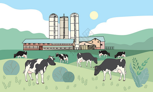 斑点奶牛Dairy far背景图片