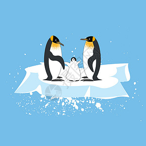 浮冰上企鹅浮冰上的企鹅野生动物动物海洋冻结荒野哺乳动物插图新生眼睛漫画插画