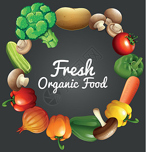 西兰花蔬菜有机蔬菜海报设计设计图片