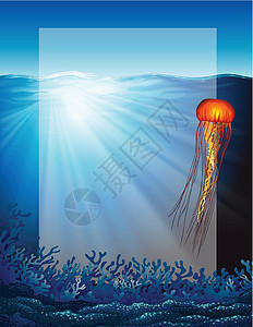 水母照片海底的水母插画