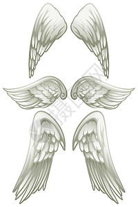 惠特天使的翅膀背景图片