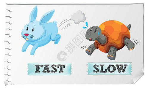 乌龟兔子相反的形容词快和慢情调哺乳动物语言插图英语绘画教育字体热带生物设计图片