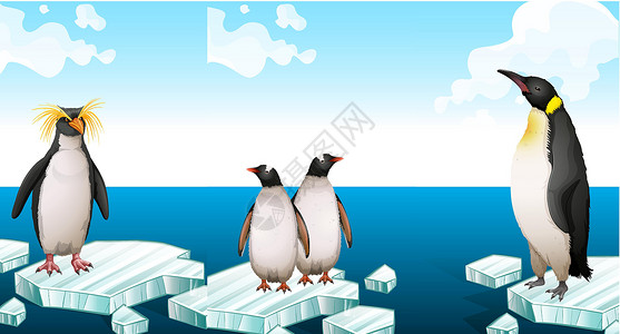 加拉帕戈斯群岛站在冰山上的企鹅插画