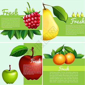 新鲜水果梨新鲜水果的信息图表设计插画