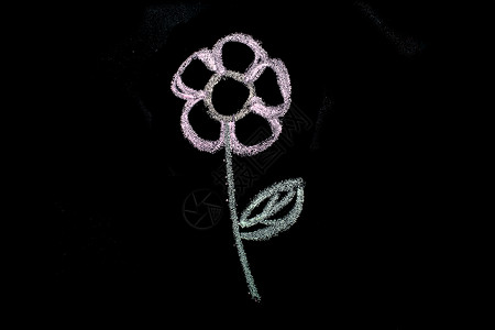粉笔花朵黑板上用白色粉笔手绘花粉色植物群花园植物花朵绿色背景花卉背景