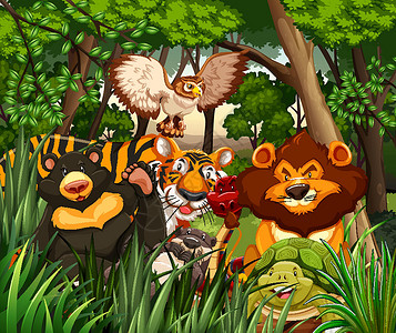 龟老虎生活在丛林中的野生动物动物异国动物园插图夹子生物热带猫头鹰森林哺乳动物插画