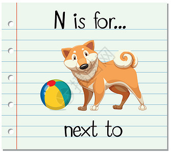 狗球抽认卡字母 N 用于下一个 t设计图片