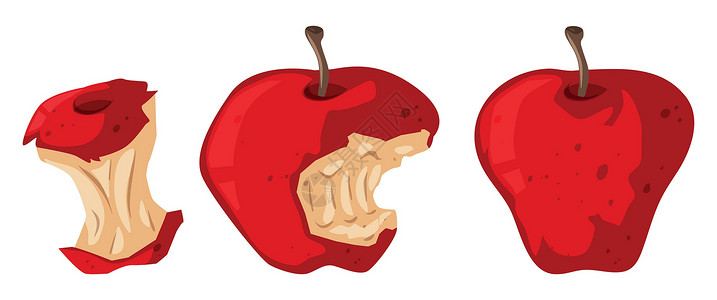 新鲜的苹果和腐烂的苹果夹子热带艺术剪裁食物水果绘画植物小路插图素食主义者高清图片素材