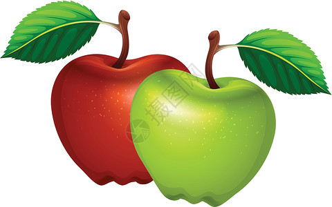 红苹果青苹果新鲜的绿色和红色苹果插画