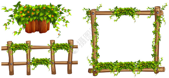 木框和带植物的栅栏高清图片
