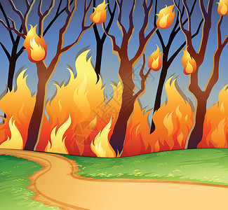 砍伐森林森林中的野火设计图片