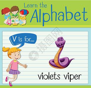 野生蛇抽认卡字母 V 是紫罗兰 vipe孩子艺术孩子们生物教育哺乳动物动物海报卡片活动插画
