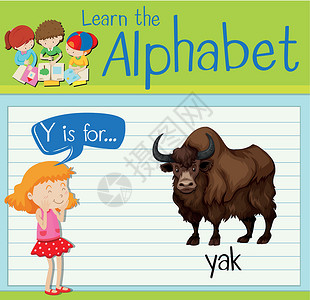 牛啊你抽认卡字母 Y 是给你的海报卡片白色工作活动孩子们学校野生动物生物热带插画