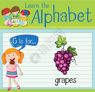 有机葡萄抽认卡字母 G 代表葡萄卡片食物热带教育孩子白色夹子工作海报演讲设计图片