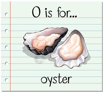 带壳牡蛎抽认卡字母 O 代表牡蛎闪光教育夹子瞳孔艺术幼儿园生物卡片刻字老师设计图片