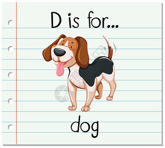 狗看书抽认卡字母 D 代表做生物写作闪光异国拼写插图宠物刻字小狗阅读设计图片