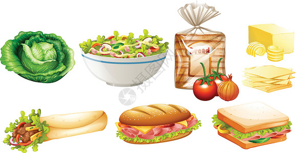 沙拉三明治一组不同种类的 foo插画
