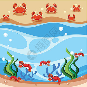 水红色螃蟹和虾的场景插画