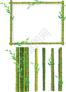 绿色竹框和棍子图片