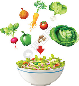 各种各样的蔬菜各种各样的沙拉在弓插画