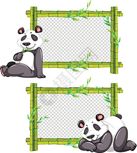 两个带可爱熊猫的竹框图片