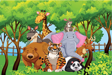 自然界中的野生动物哺乳动物艺术插图白色荒野绘画丛林植物卡通片袋鼠背景图片