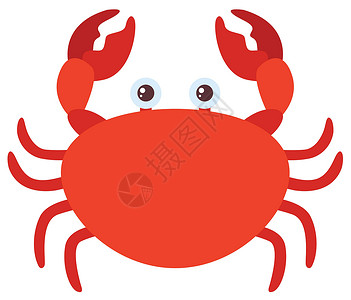 红色情调白色背景上的红蟹热带红色动物艺术剪裁海鲜螃蟹插图绘画海洋插画