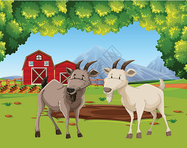 农场场景中的两只山羊荒野农作物动物红色卡通片绿色衬套绘画农业谷仓插画