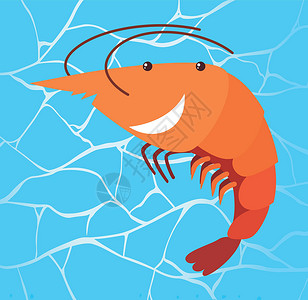 水虾水蓝色背景上的虾插画