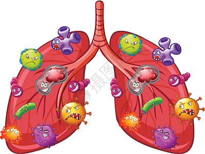 肺部细菌的载体高清图片