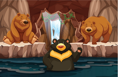 忍野八海地下洞穴中的野熊与水插画
