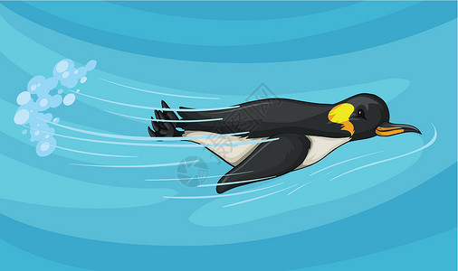 企鹅在海下游泳图片素材