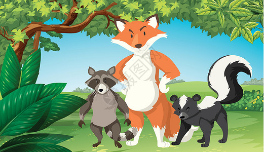 臭鼬森林中的野生动物森林花园狐狸情调异国丛林插图公园动物风景插画