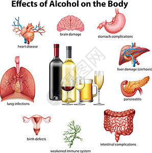 对月饮酒酒精对身体的影响损害感染免疫系统绘画生物学心脏病精神治疗艺术夹子插画