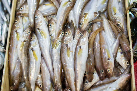 鱼市场上出售的新鲜鱼营养餐厅盐水饮食美食食物海鲜鲭鱼销售钓鱼欧米茄高清图片素材
