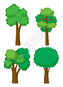 树形状树的四种形状插画