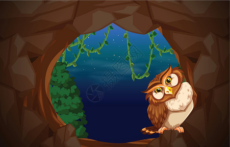 猫头鹰在洞穴入口高清图片