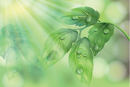 在绿色背景上的植物叶子插图花园环境绘画植物群墙纸装饰艺术风格夹子背景图片