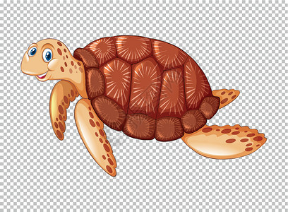 斯里兰卡海龟在透明背景上游泳的海龟插画