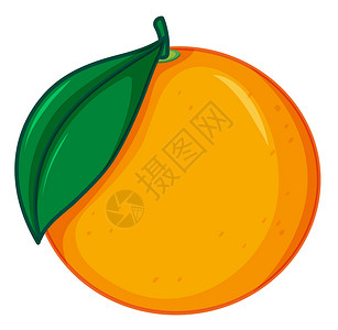 白色背景上的一个橙子有机的高清图片素材
