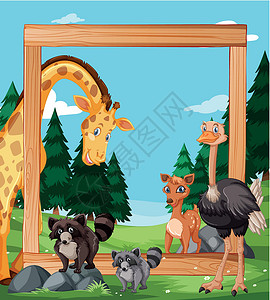 木制框架上的野生动物动物边界木头夹子木板插图棕色绘画森林艺术背景图片