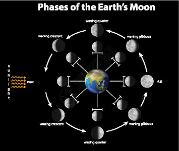 显示地球 moo 阶段的图表卡通片星星宇宙剪贴太阳系宇宙学天空艺术天文学黑暗背景图片