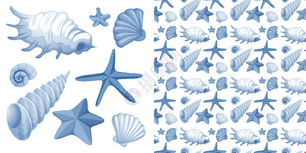 海星空无缝背景设计与贝壳团体白色绘画插图海滩蓝色空白生物动物群包装插画