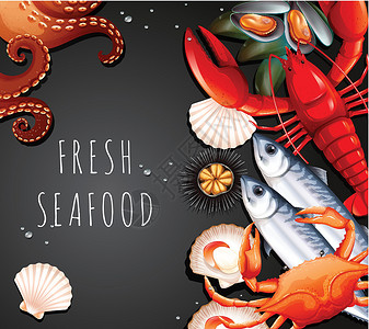 新鲜扇贝套新鲜的海鲜食物螃蟹贝类横幅菜单插图收藏盘子艺术龙虾插画