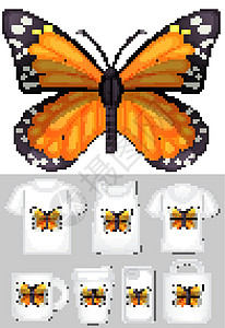 霸王蝶帝王蝶在不同产品模板上的图形设计图片