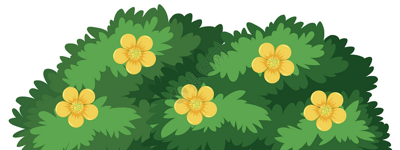 有黄色花的布什插图植物艺术绘画绿色花园花朵场景夹子白色背景图片
