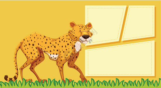 空白的猎豹不是标签白色办公室卡片艺术商业记事本框架绘画动物设计图片